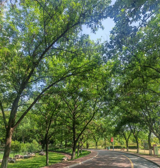 种未知的困, 出递减的趋